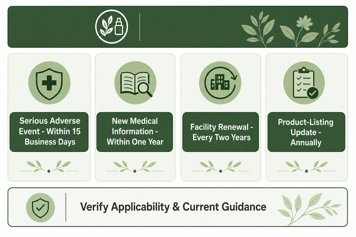 Step 7: Ship, Launch, and Keep the Records the Brand Still Needs — NEXO Beauty Labs