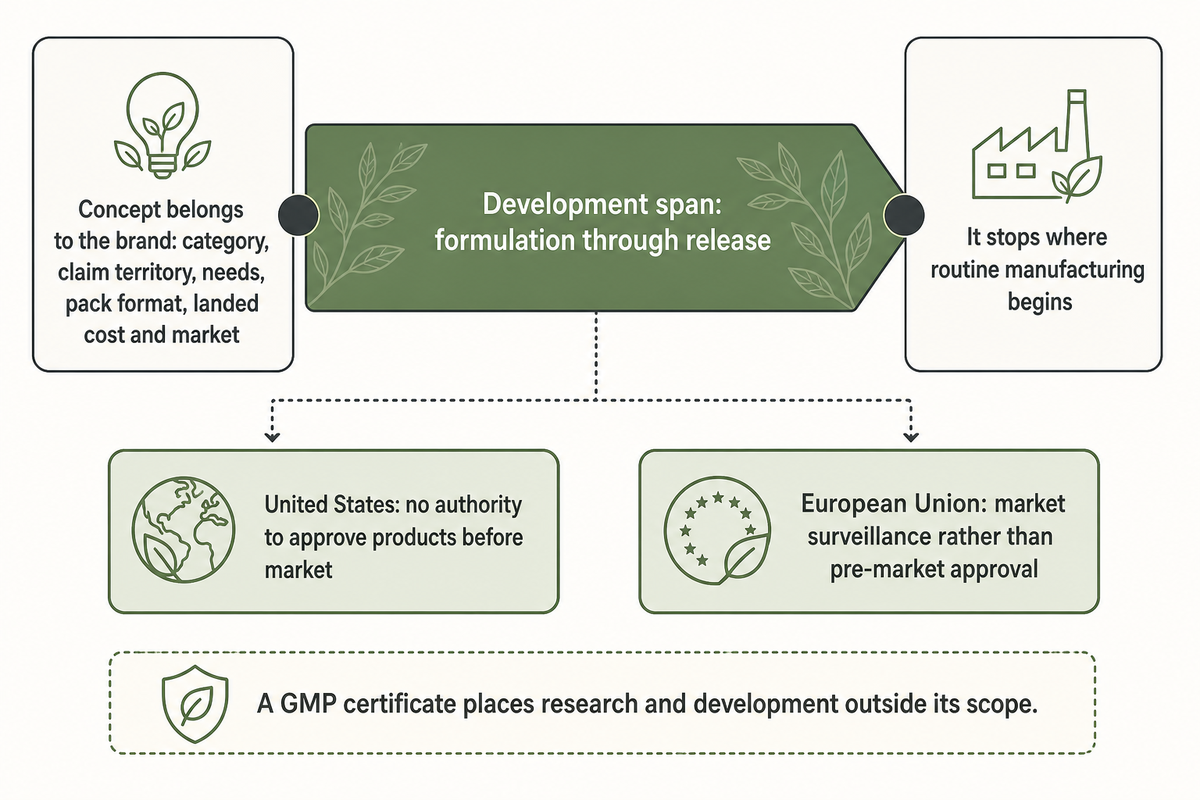 Development runs from an approved concept to a repeatable process and stops where routine manufacturing begins, with different evidence duties in the United States and the European