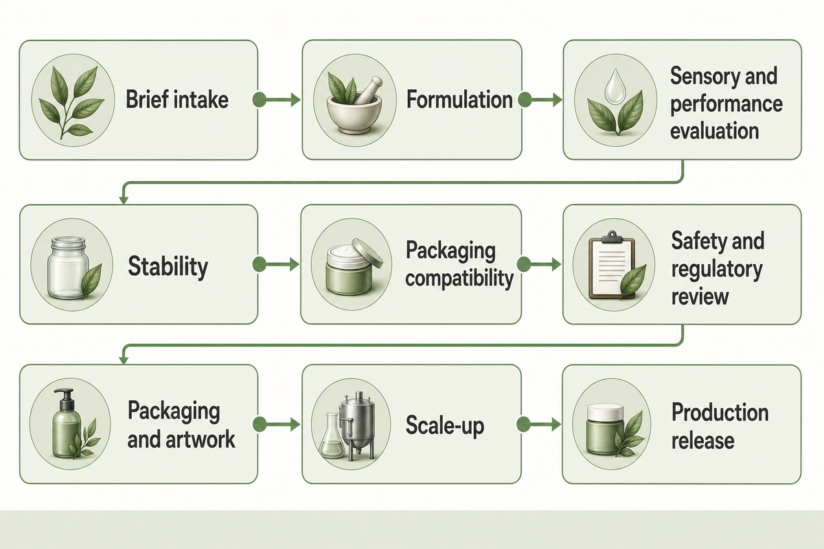 The nine work packages run from brief intake through formulation, evaluation, stability, packaging compatibility, safety review, artwork, scale-up and production release. Source: N