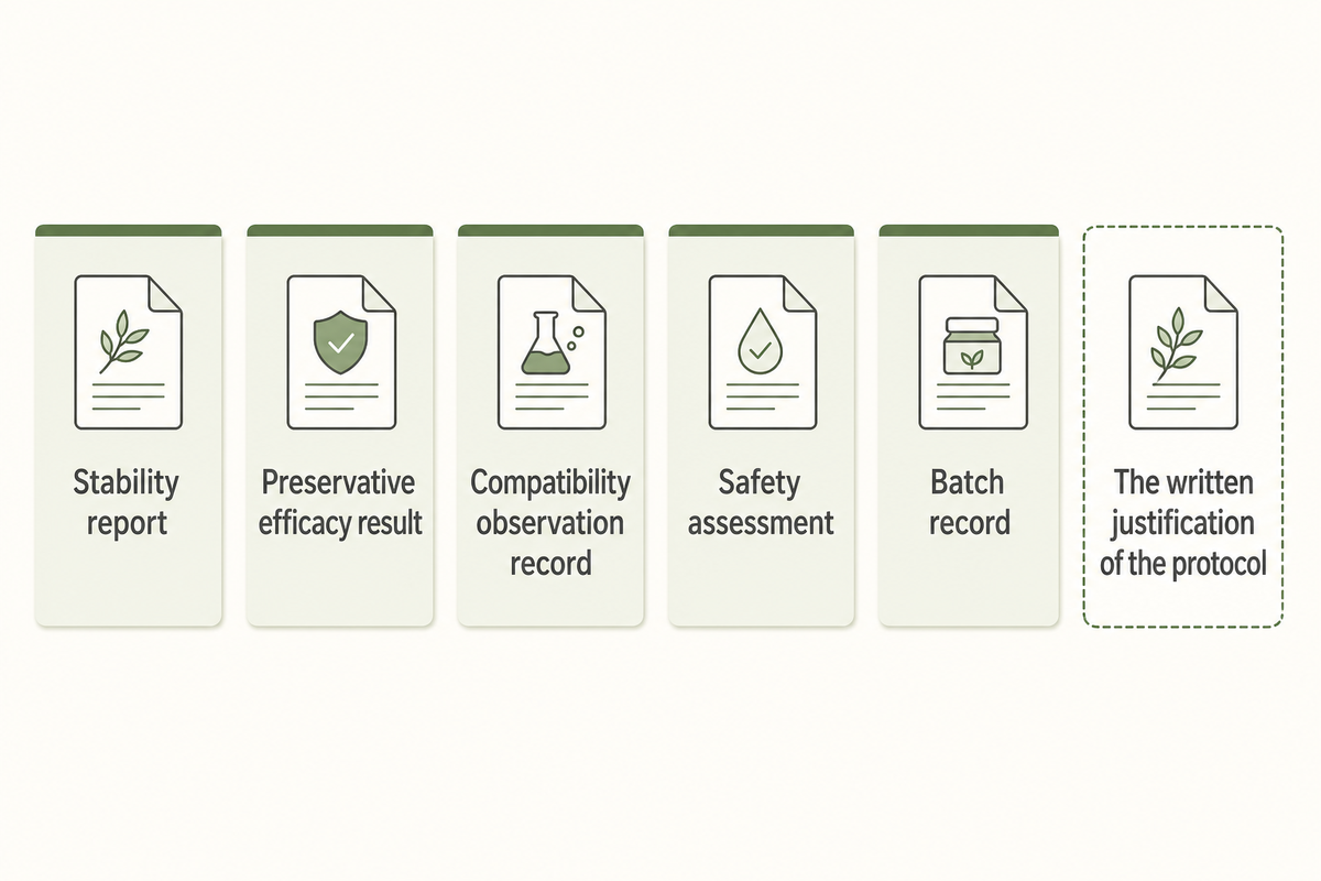 A package closes on a stability report, preservative efficacy result, compatibility observation record, safety assessment and batch record, plus the justification of the stability