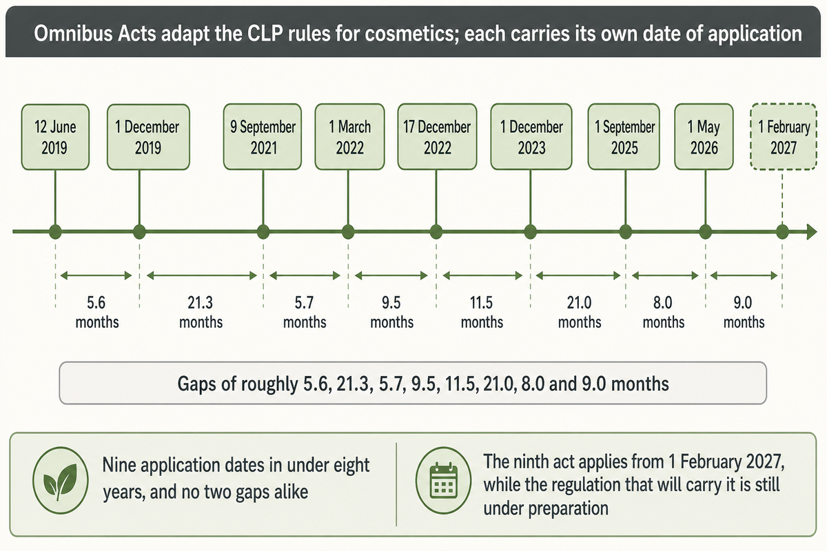 Nine Omnibus Act application dates run from 12 June 2019 to 1 February 2027 at gaps of roughly 5.6 to 21.3 months, and the ninth act's regulation is still under preparation. Source