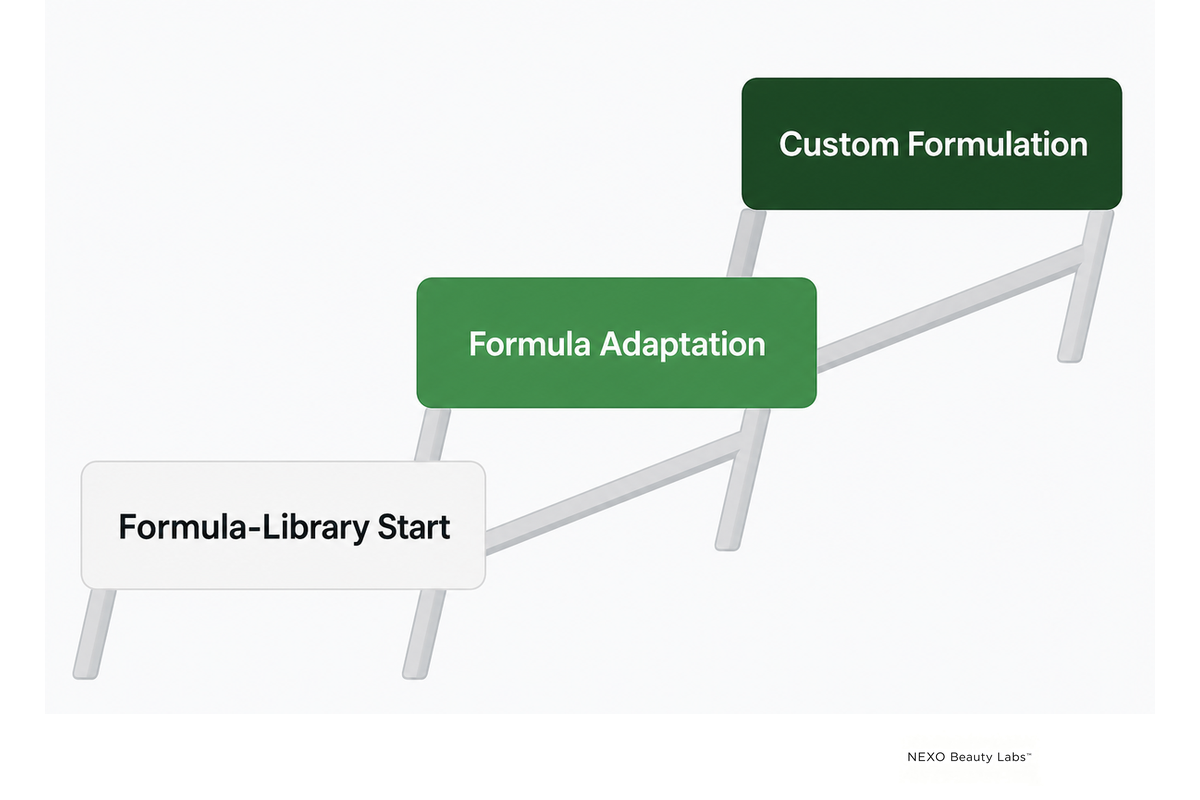 Three formulation development routes: formula-library starting point, formula adaptation, and fully custom formulation.