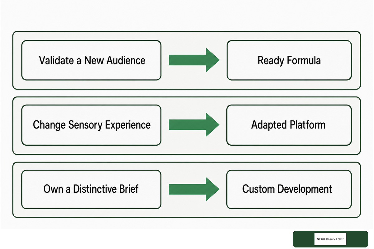 Stock, Adapted, or Custom: Which Formula Route Fits? — NEXO Beauty Labs